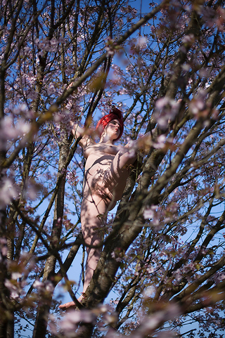 Aktofografie in der Natur, Frau mit Turban und gespreizten Beinen im Baum, Raum Basel